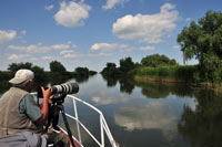 Delta Dunarii observare natura, pasari